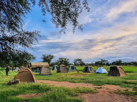 Mid-Range: Tindiga Tented Camp