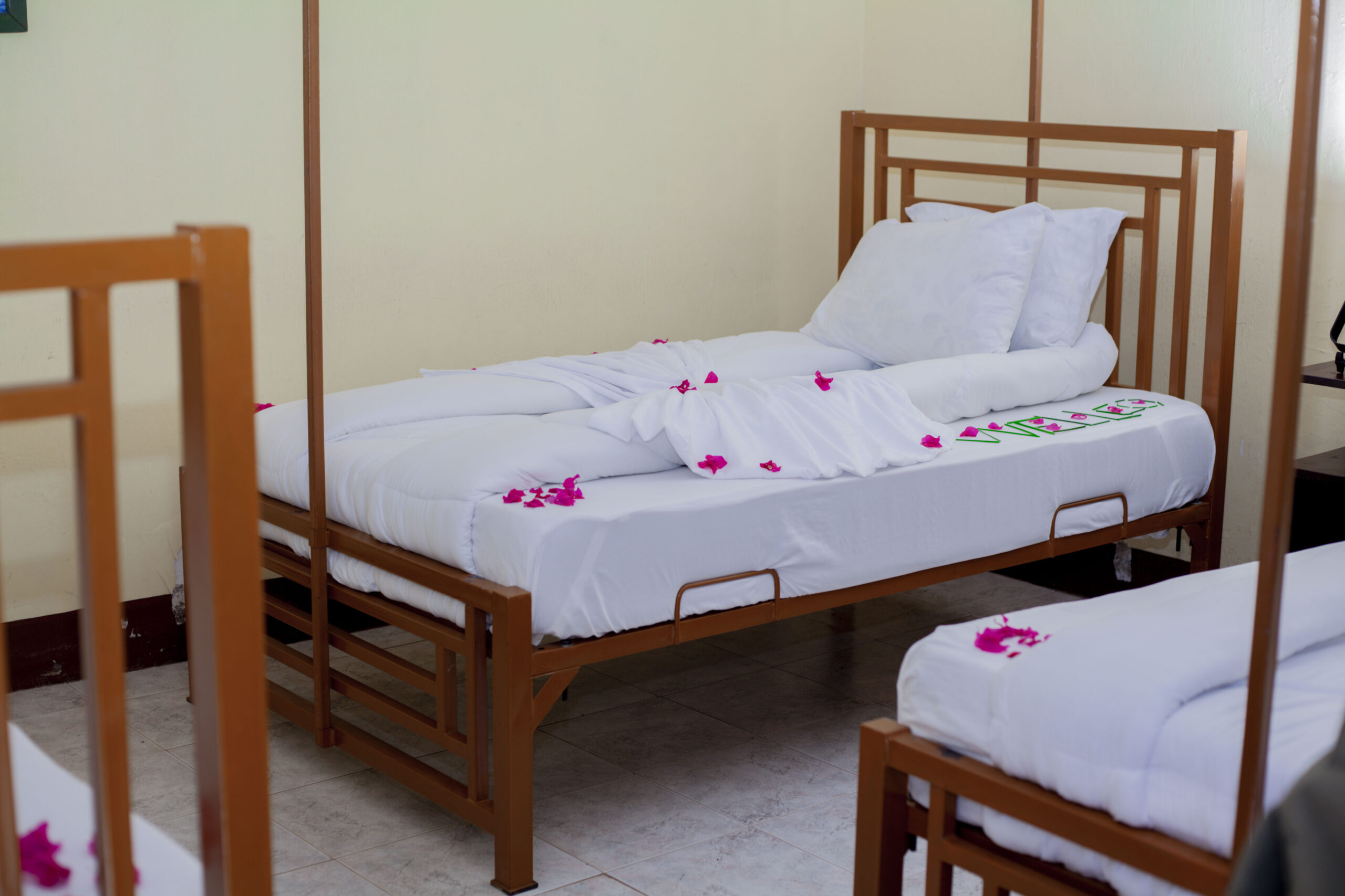 Budget: Fig Tree Lodge