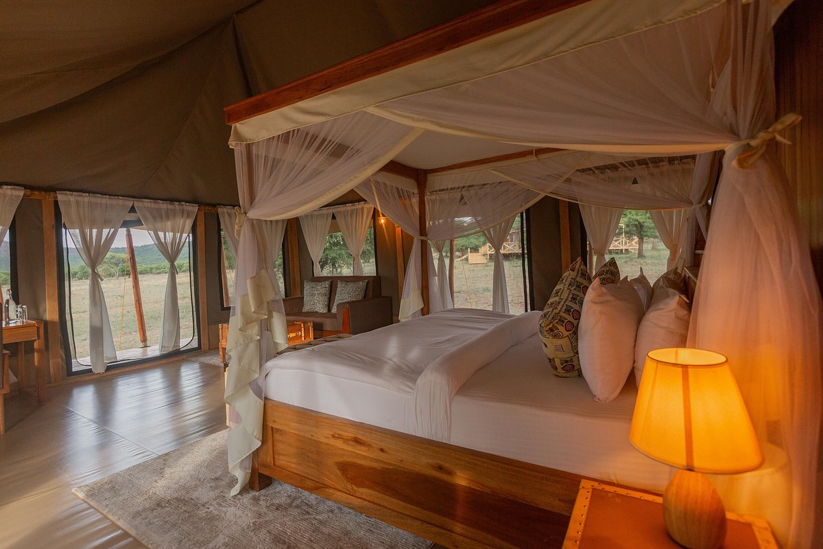 Into Wild Africa