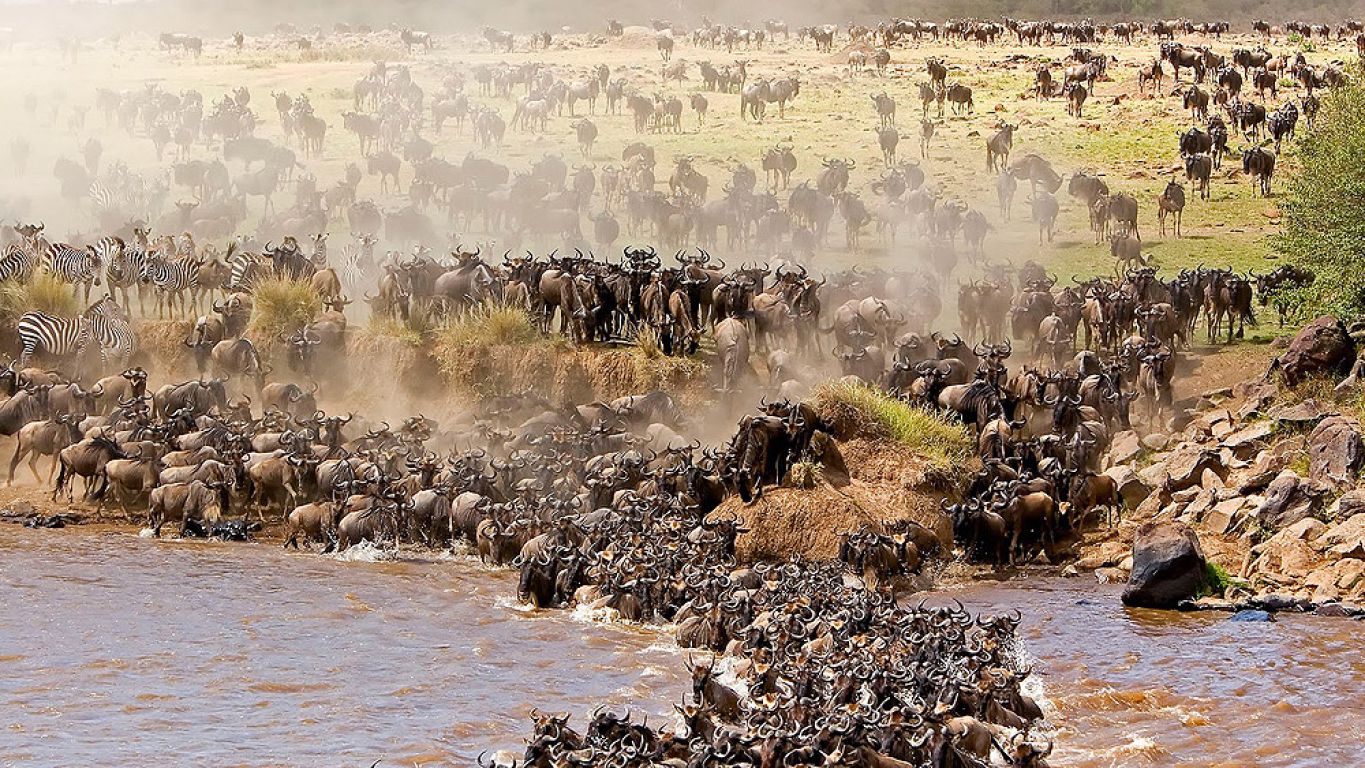 5-Day Luxury Serengeti Explorer